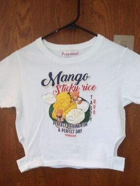 PUNK BERRY "Mango Sticky Rice" Graphic Tee, Size Small